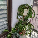 Apartman Hrastik 2 *