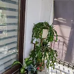 Apartamento Hrastik 2 Bihać
