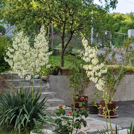 アパート Hrastik 2 Bihać