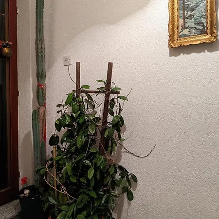Hrastik Apartment