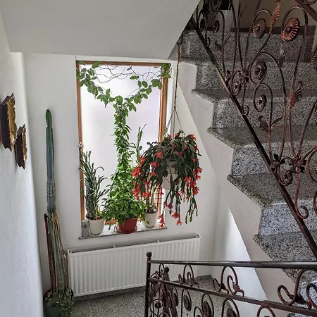 Apartment Hrastik