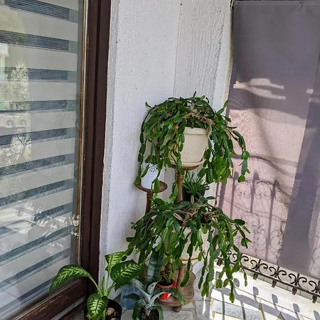 Apartman Hrastik Bihac